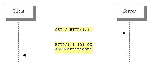 Tier 0 Protocol allows a <ds:Keyinfo> element to reference external data